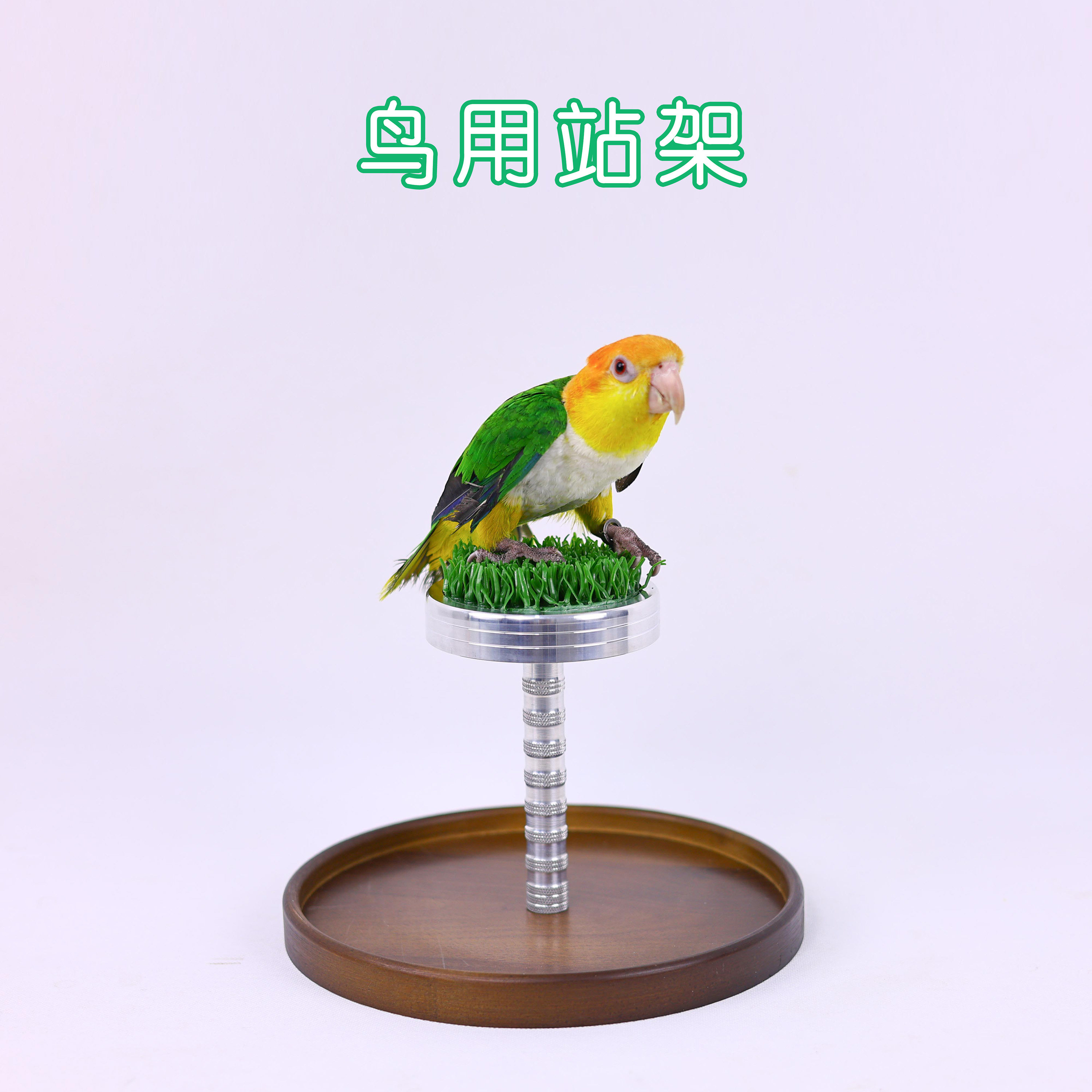 洪屿可定制游隼站台竹节支柱猎隼燕隼红隼铝合金隼台鸟用栖息站架