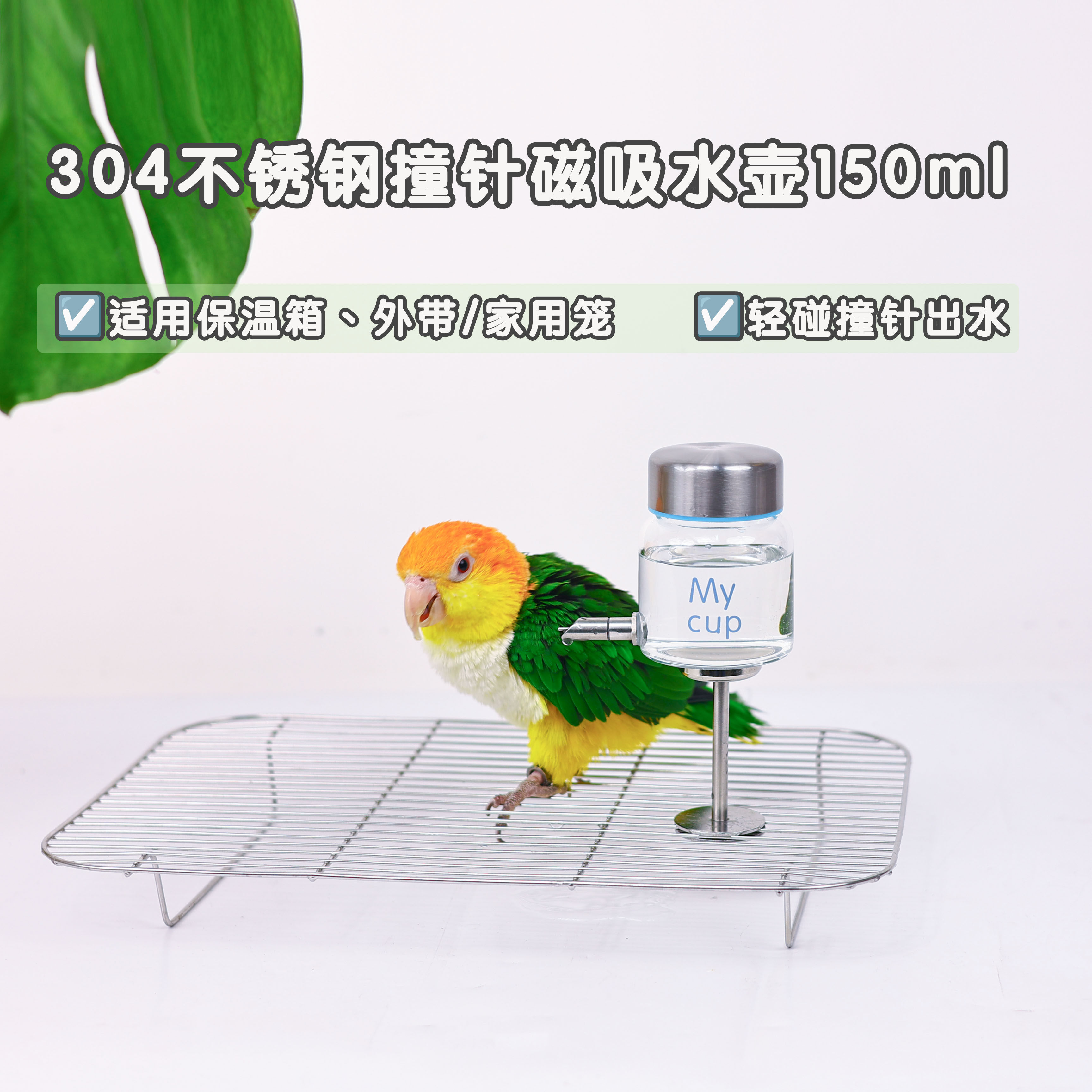 洪屿宠物鹦鹉不锈钢撞针水壶鸟笼外出饮水器迷你小号快拆喂水玄风