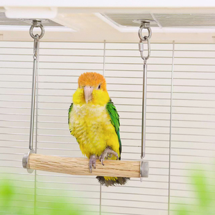 洪屿鹦鹉秋千站杆天然野梨木啃咬玩具不锈钢宠物解闷自嗨啃咬