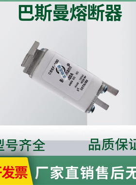巴斯曼 GBSF-100 LPJ-125SP限流熔断器 电子元器件全新原装直销