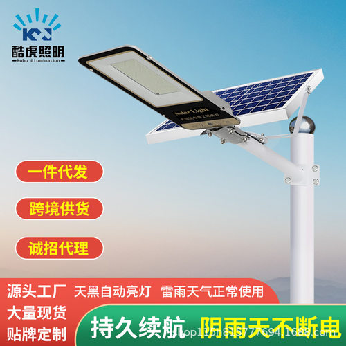惠民太阳能路灯 分体式小金豆款  智能光控感应户外防水防雷路灯