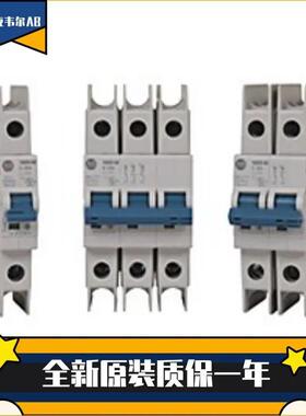 罗克韦尔微型断路器1489-M1C1001489-M1C130