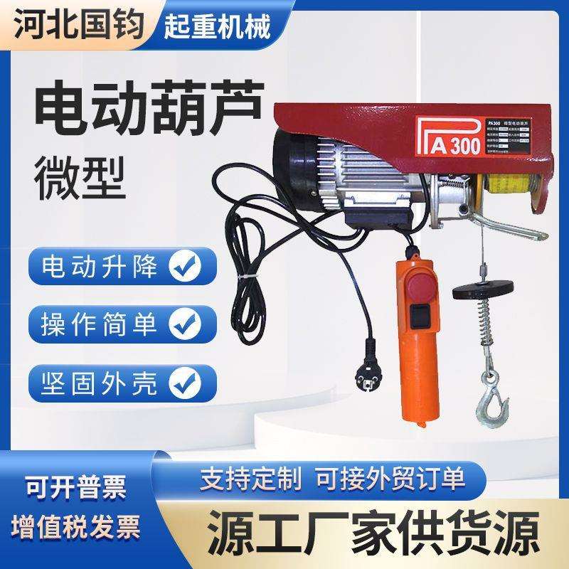 微型电动葫芦家用室内小吊机220V小型提升机PA1000钢丝绳起重葫芦