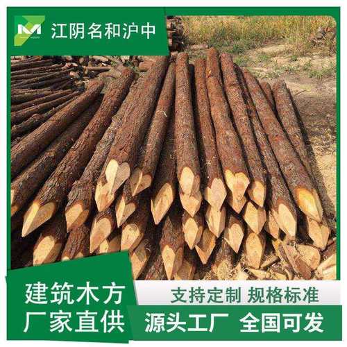 供应工地项目打桩杉木河道治理杉木桩削尖尺寸绿化实木杉树现货