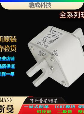 巴斯曼170M6011170M6012170M6013大量现货销售低压熔断器