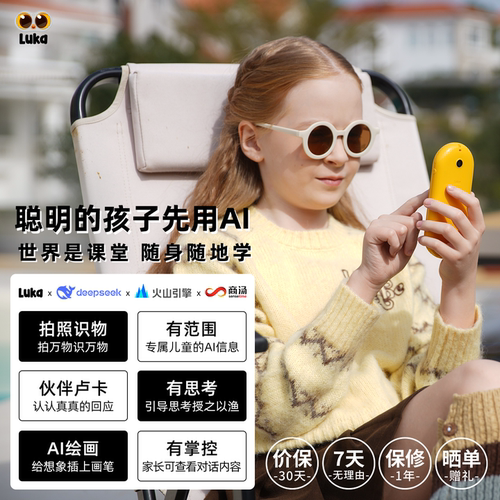 2025新款人工智能AI伙伴小黄机