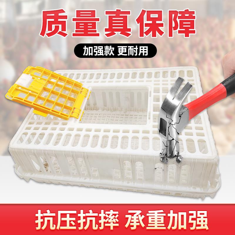 鸡鸭运输笼鸡笼周转箱鹅笼子特大号加厚装鸡养殖笼家禽塑料转运筐