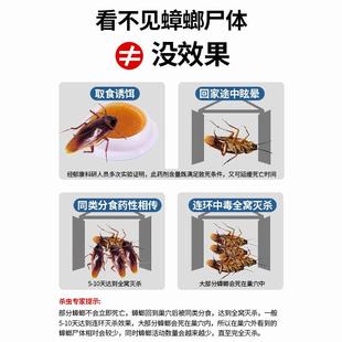 蟑螂药家用一窝全窝端厨房强力灭除绝杀小强神器胶饵剂贴非无毒屋