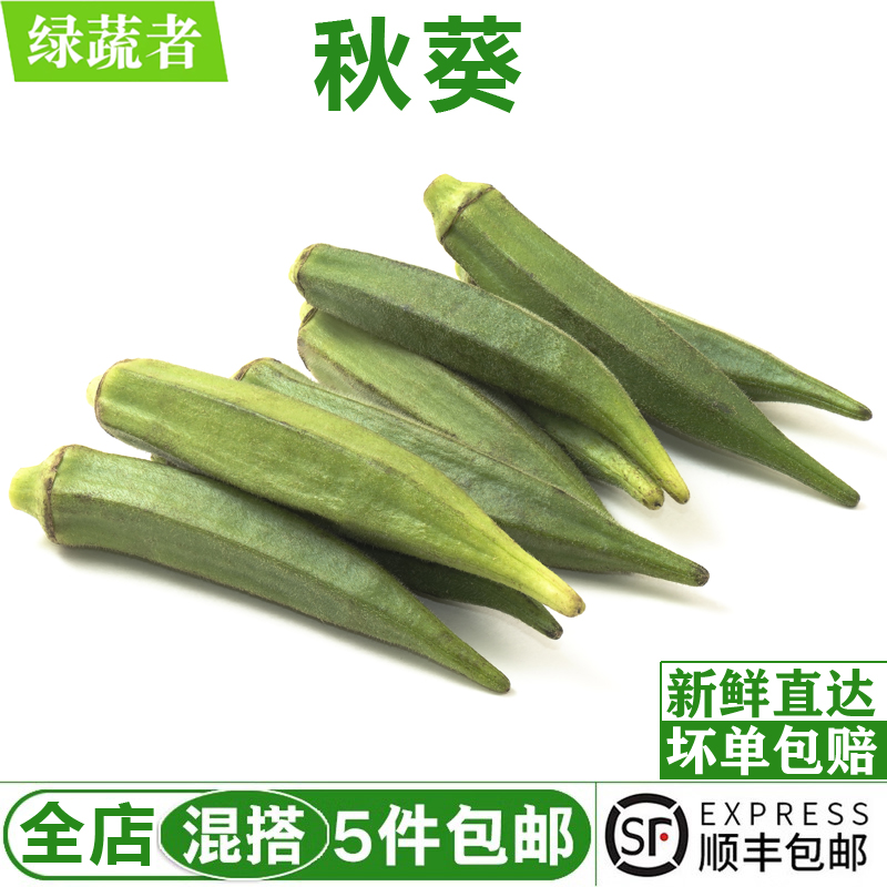 新鲜秋葵500g 水果黄秋葵 芝麻六角羊角豆 新鲜采摘农家蔬菜