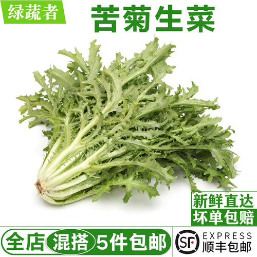 新鲜苦菊500g 苦细叶 苦叶生菜 苦苣菜西餐蔬菜沙拉食材轻食蔬菜