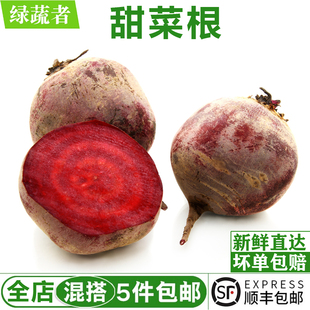 甜菜根500g 甜菜头甜根菜紫红菜头 西餐摆盘榨汁新鲜蔬菜