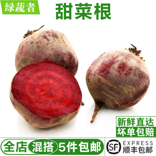 甜菜根500g 甜菜头甜根菜紫红菜头 西餐摆盘榨汁新鲜蔬菜