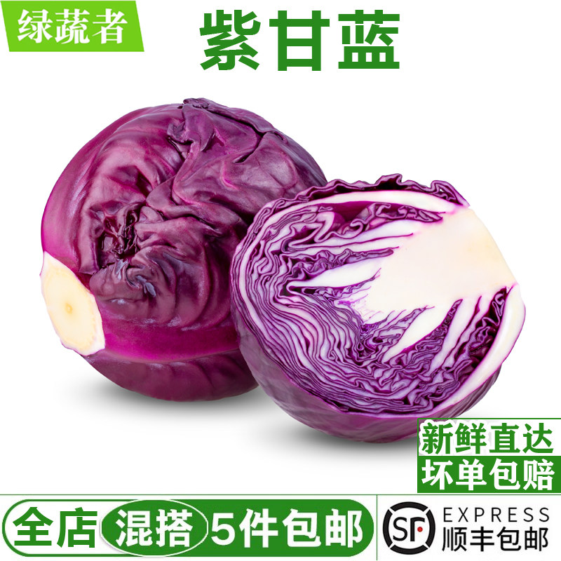 紫甘蓝650g 新鲜紫包菜紫色球生菜红椰菜西餐蔬菜沙拉食材