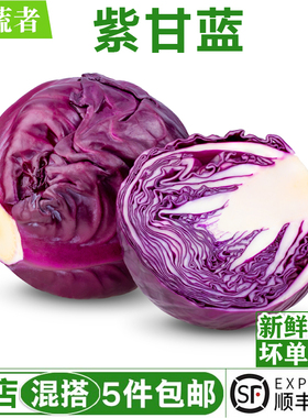 紫甘蓝650g 新鲜紫包菜紫色球生菜红椰菜西餐蔬菜沙拉食材