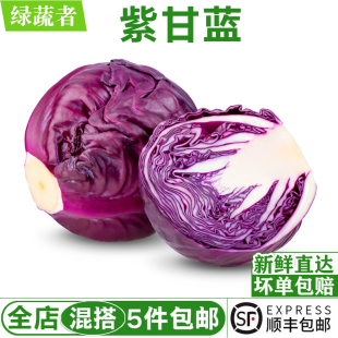 紫甘蓝650g 新鲜紫包菜紫色球生菜红椰菜西餐蔬菜沙拉食材