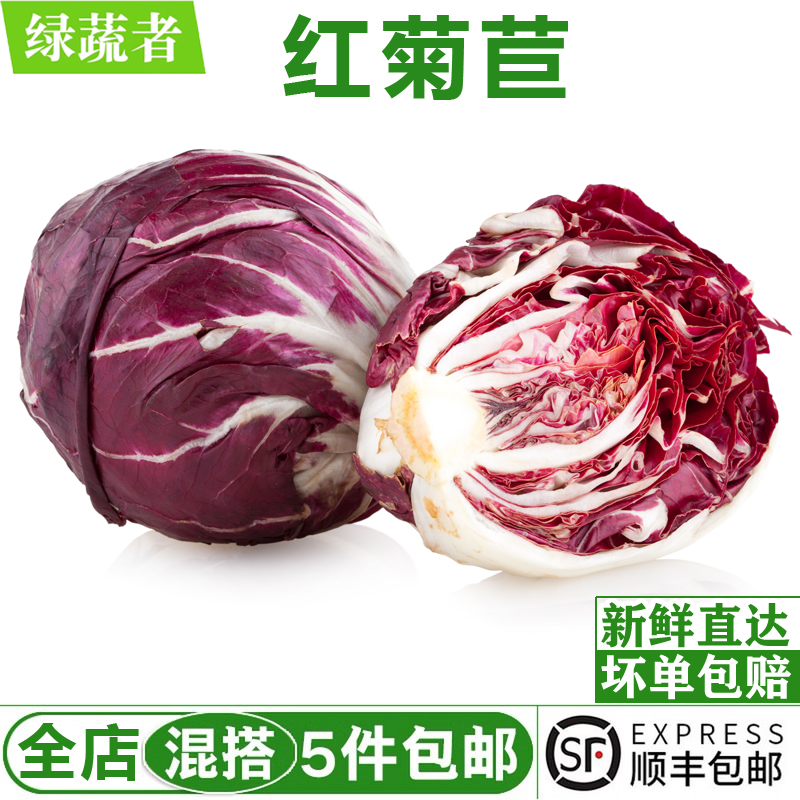 新鲜红菊苣500g 落地红球生菜紫苣 西餐蔬菜沙拉食材健身轻食配菜