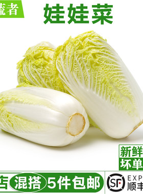 新鲜娃娃菜约650g 新鲜蔬菜黄心小白菜烧烤火锅食材 满5件包邮