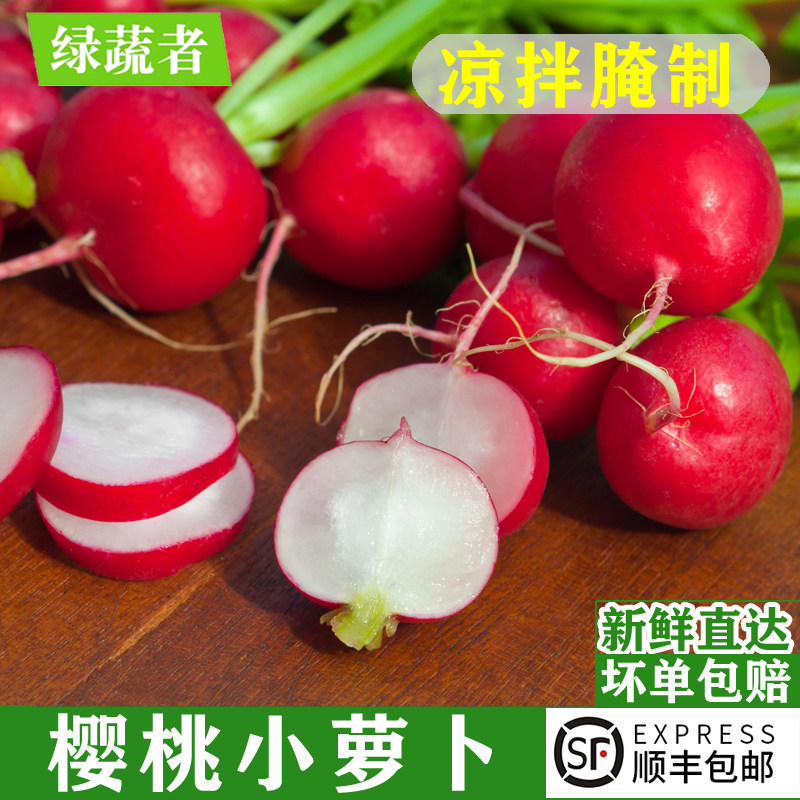 新鲜樱桃萝卜去叶迷你水果萝卜小红丁圆萝卜西餐凉拌蔬菜沙拉食材