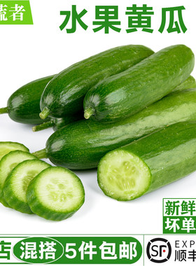 水果黄瓜500g 无刺小黄瓜短小青瓜生吃沙拉食材新鲜蔬菜