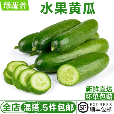 水果黄瓜500g 无刺小黄瓜短小青瓜生吃沙拉食材新鲜蔬菜