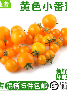 黄色小番茄450g 圣女果新鲜水果蔬菜沙拉食材 满5件包邮