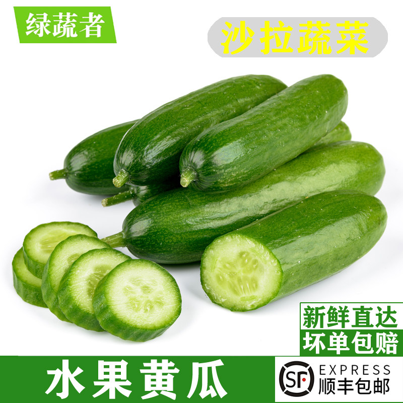 水果黄瓜1-5斤 无刺小黄瓜荷兰小黄瓜青瓜生吃新鲜蔬菜沙拉食材,水产肉类/新鲜蔬果/熟食,黄瓜,淘宝优惠券,粉丝福利购,淘宝优惠卷