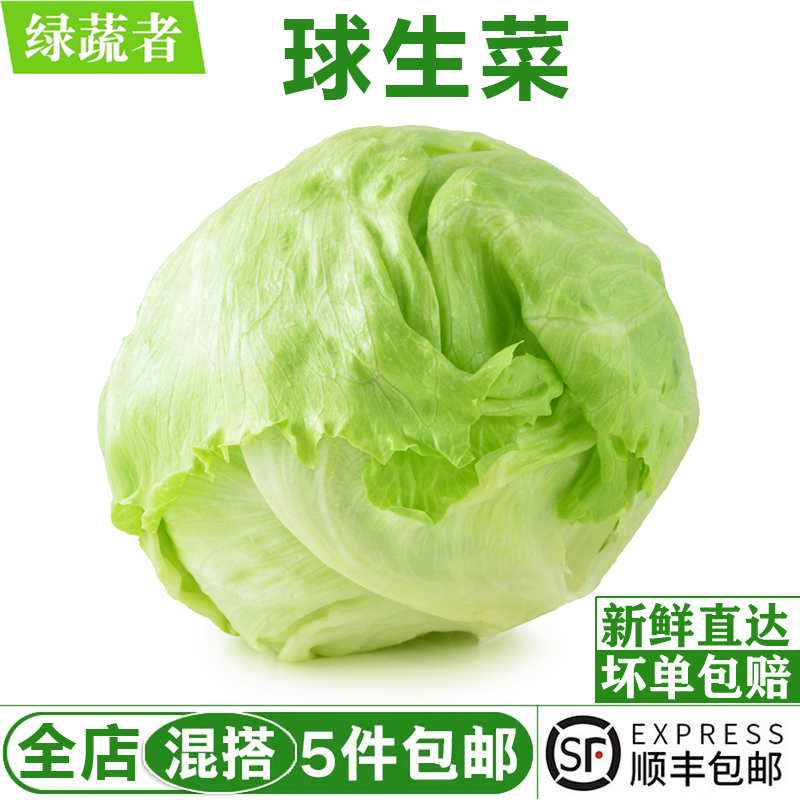 新鲜球生菜500g 汉堡用西生菜圆生菜新鲜沙拉蔬菜食材满5斤包邮