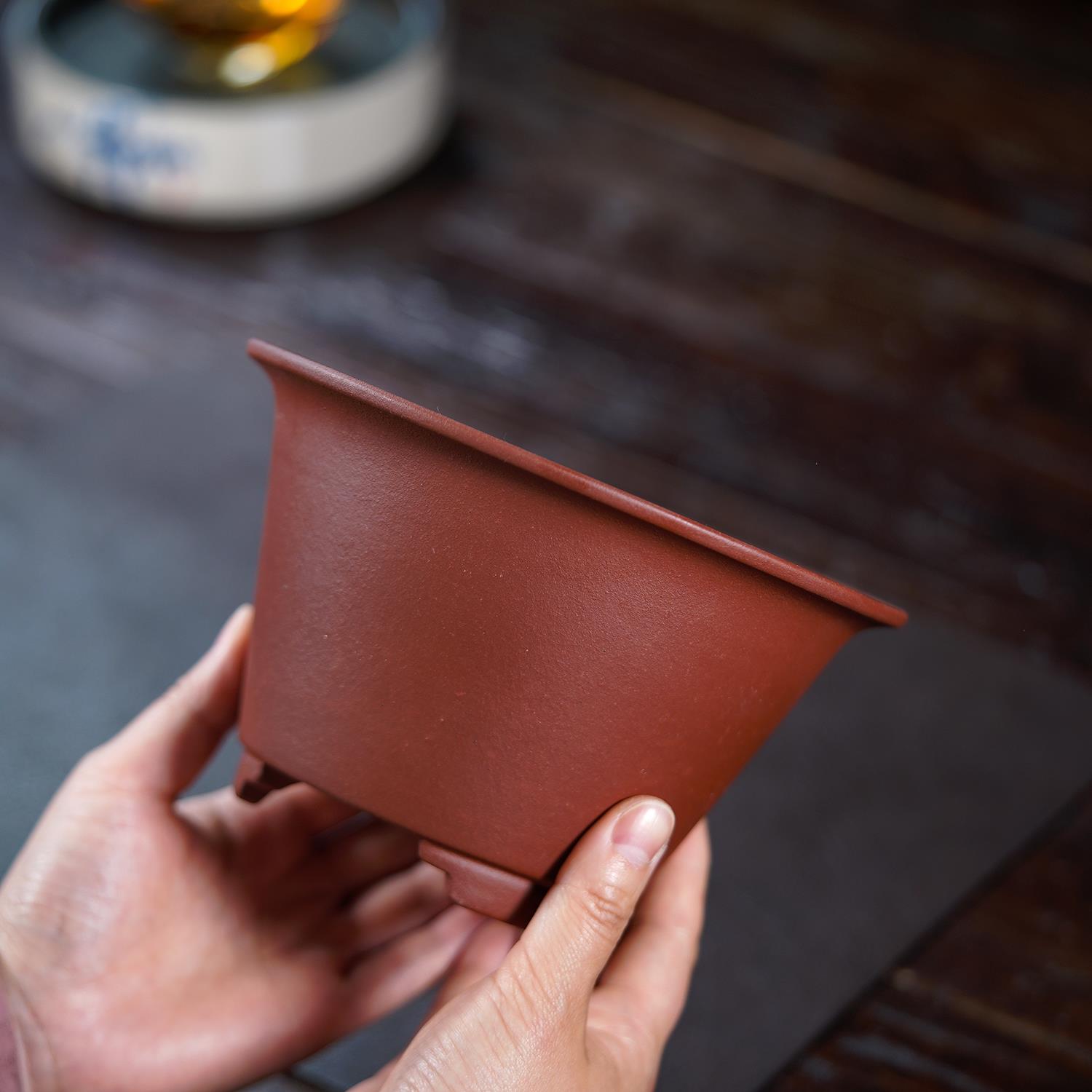 宜兴紫砂花盆紫砂盆景绿色植物盆栽园艺展示展览松柏芦笋多肉竹帽