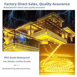 金黄光led灯带工程亮化景观装饰户外防水220V别墅外墙氛围灯条