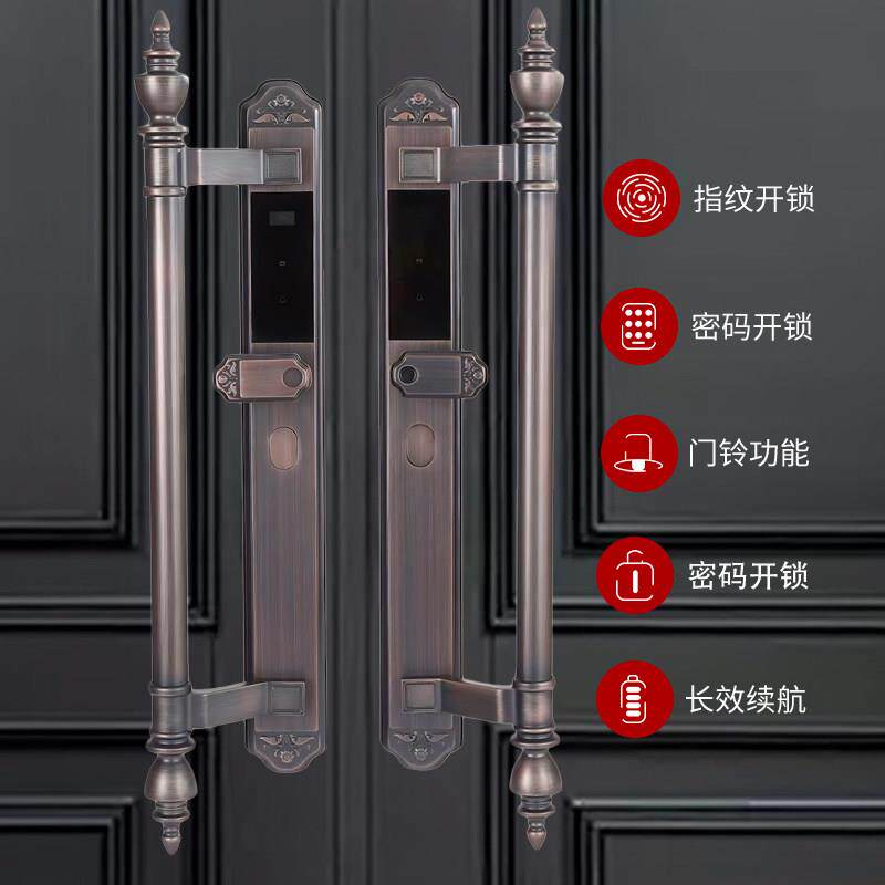 欧式别墅双开大门防晒指纹锁雕花农村自建房大门人脸识别智能门锁