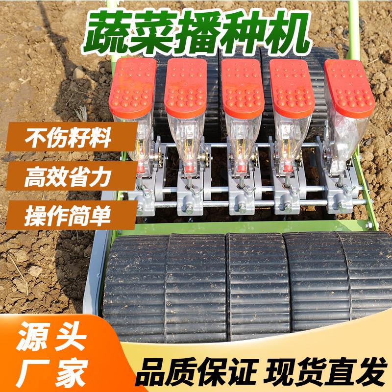 全自动蔬菜播种机种植器不伤籽料高效省力操作简单源头厂家
