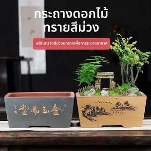 宜兴紫砂马槽花盆文竹榕树长方形椭圆特大号点彩悬崖景家用包邮