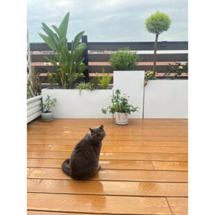 户外玻璃钢花箱室内外庭院阳台露台花盆花箱种植箱成品专用盆种植