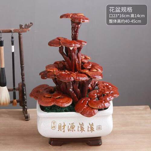 灵芝盆景赤灵芝盆栽办公室天然小盆栽室内四季发财多肉老桩植物
