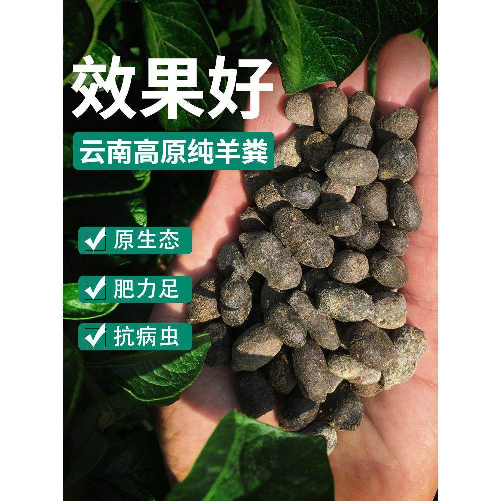 纯羊粪发酵有机肥料家用花卉通用型腐熟缓释肥种花菜羊屎蛋,农用物资,有机肥,淘宝优惠券,粉丝福利购,淘宝优惠卷