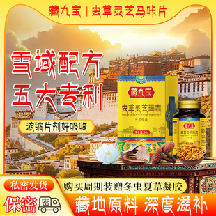藏九宝【专利配方】雪域原料中老年滋补蛹虫草灵芝马咔西藏配方
