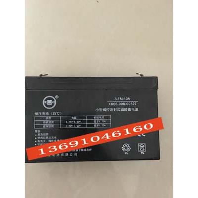 有利蓄电池 3-FM-10A 6V10AH 玩具车 童车用电瓶 XK06-006-00527