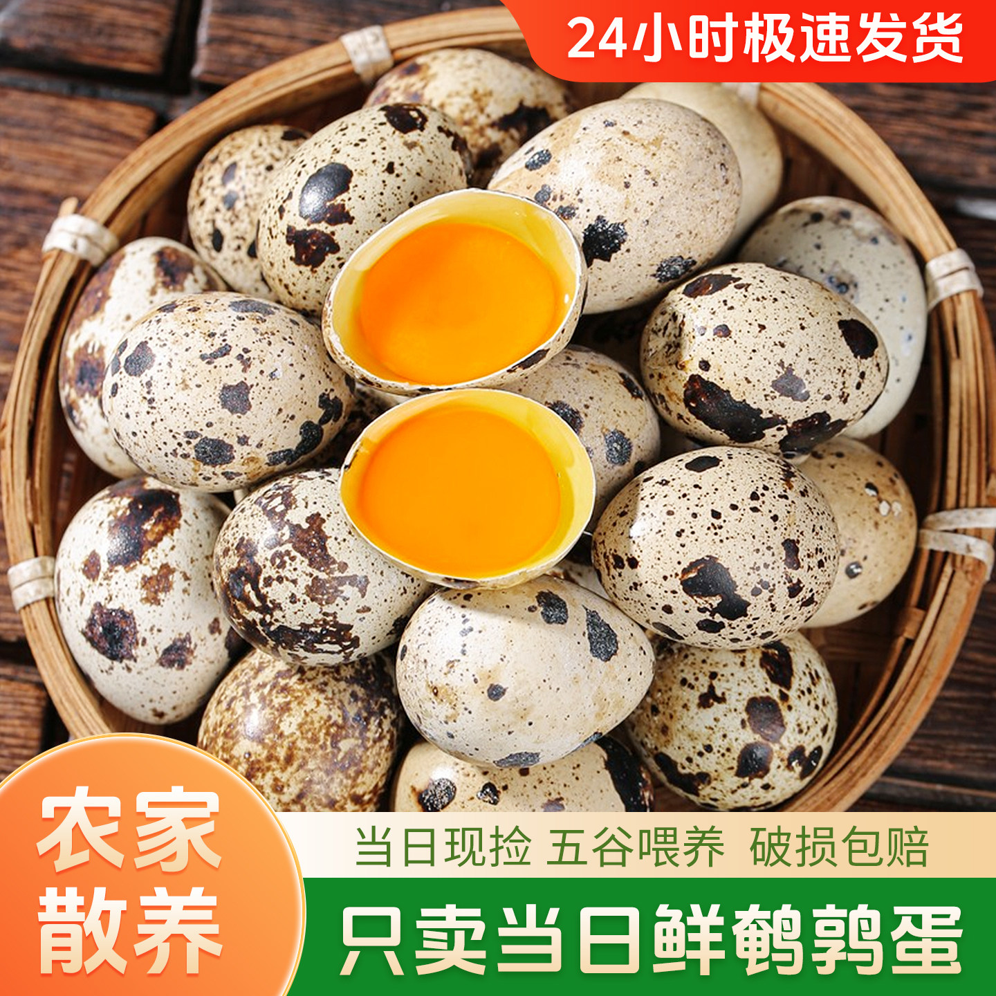 农家散养新鲜鹌鹑蛋100枚现捡现发宝宝孕妇营养辅食鸟蛋整箱包邮,水产肉类/新鲜蔬果/熟食,鹌鹑蛋,淘宝优惠券,粉丝福利购,淘宝优惠卷