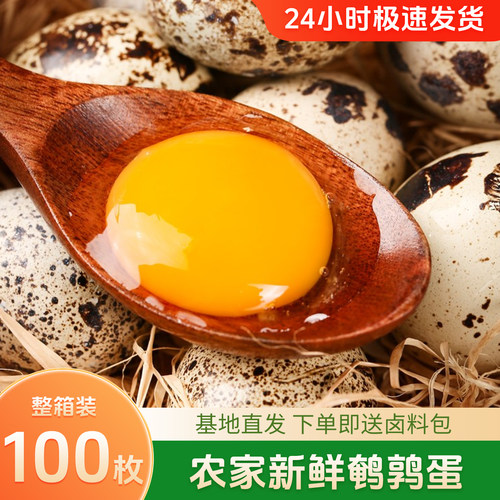 新鲜鹌鹑蛋100枚杂粮喂养