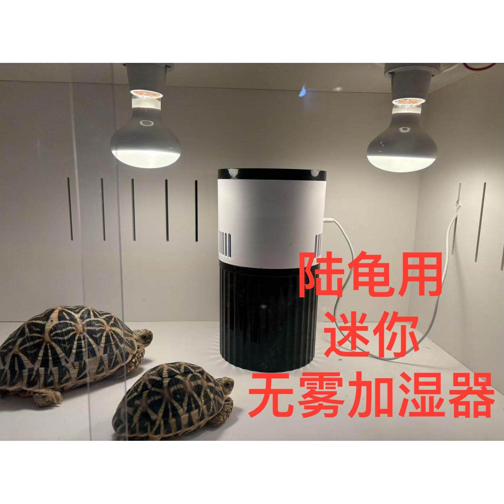 陆龟无雾加湿器爬宠爬箱蜥蜴陆龟箱加湿陆龟箱加湿净化干净,宠物/宠物食品及用品,爬宠温控/湿度设备,淘宝优惠券,粉丝福利购,淘宝优惠卷