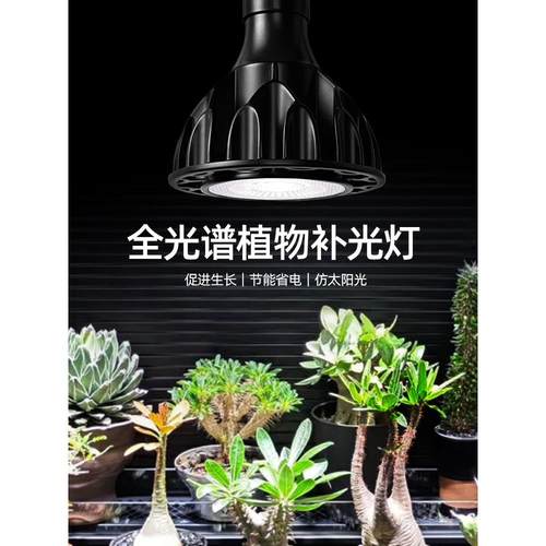 植物补光灯全光谱仿太阳光LED射灯块根龙舌兰室内热植绿植生长灯