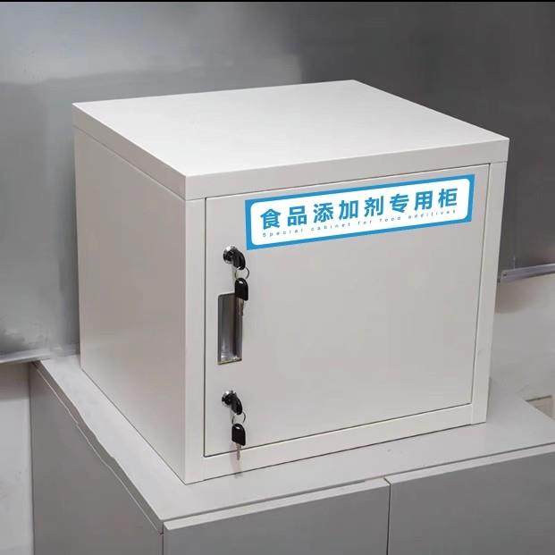 双锁食品添加剂专用柜食堂厨房加厚留样柜储物柜壁挂单门文件柜