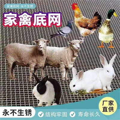 羊床漏粪网养羊鸡鸭鹅漏粪网底养殖围栏网热镀锌编织羊床钢丝网