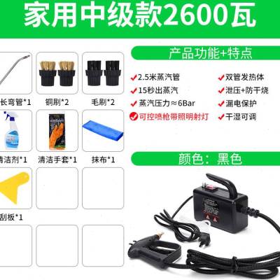 现货速发厂新蒸气清洗机地暖脉冲洗小型管道蒸汽洗车机清洁设备家