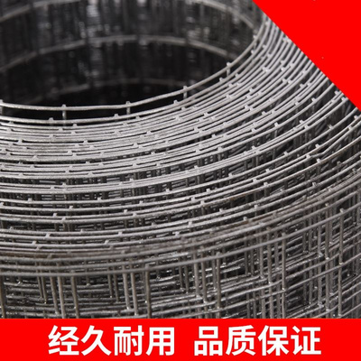 现货镀锌网片铁丝网围栏铁网格网加粗电焊养殖网不锈钢丝网碰焊网