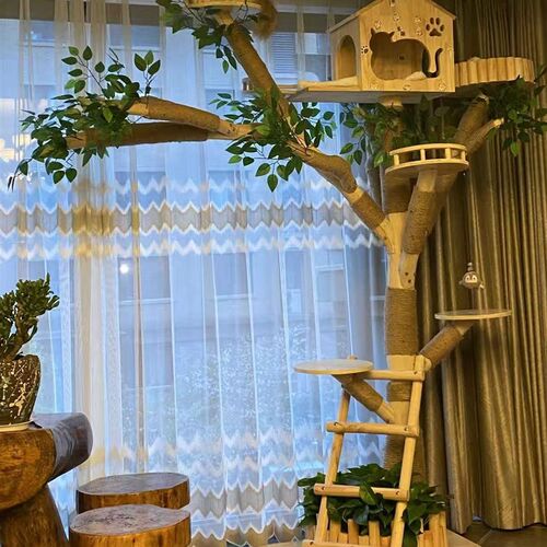 猫爬架猫窝一体猫咪玩p具逗猫解闷自嗨耐磨不掉屑实木猫抓柱猫抓