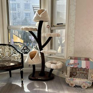 catry凯瑞猫架花朵猫爬架中型大型猫跳台猫窝一体剑麻磨爪猫抓柱