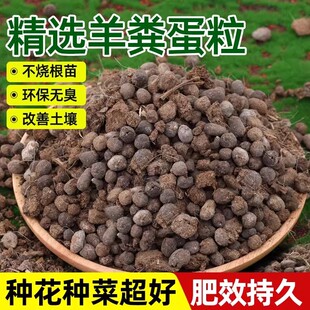 纯羊粪蛋颗粒发酵有机肥蔬菜专用腐熟农家肥盆栽花卉瓜果通用肥料