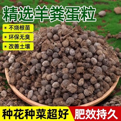 纯羊粪蛋颗粒发酵有机肥通用