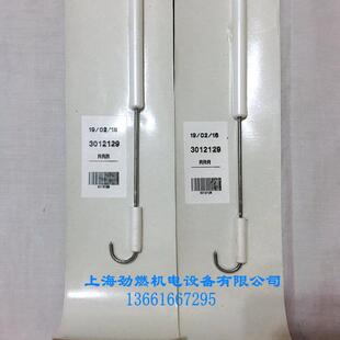 利雅路燃烧器RS50用点火棒 点火针 燃烧机点火电极 意大利原装